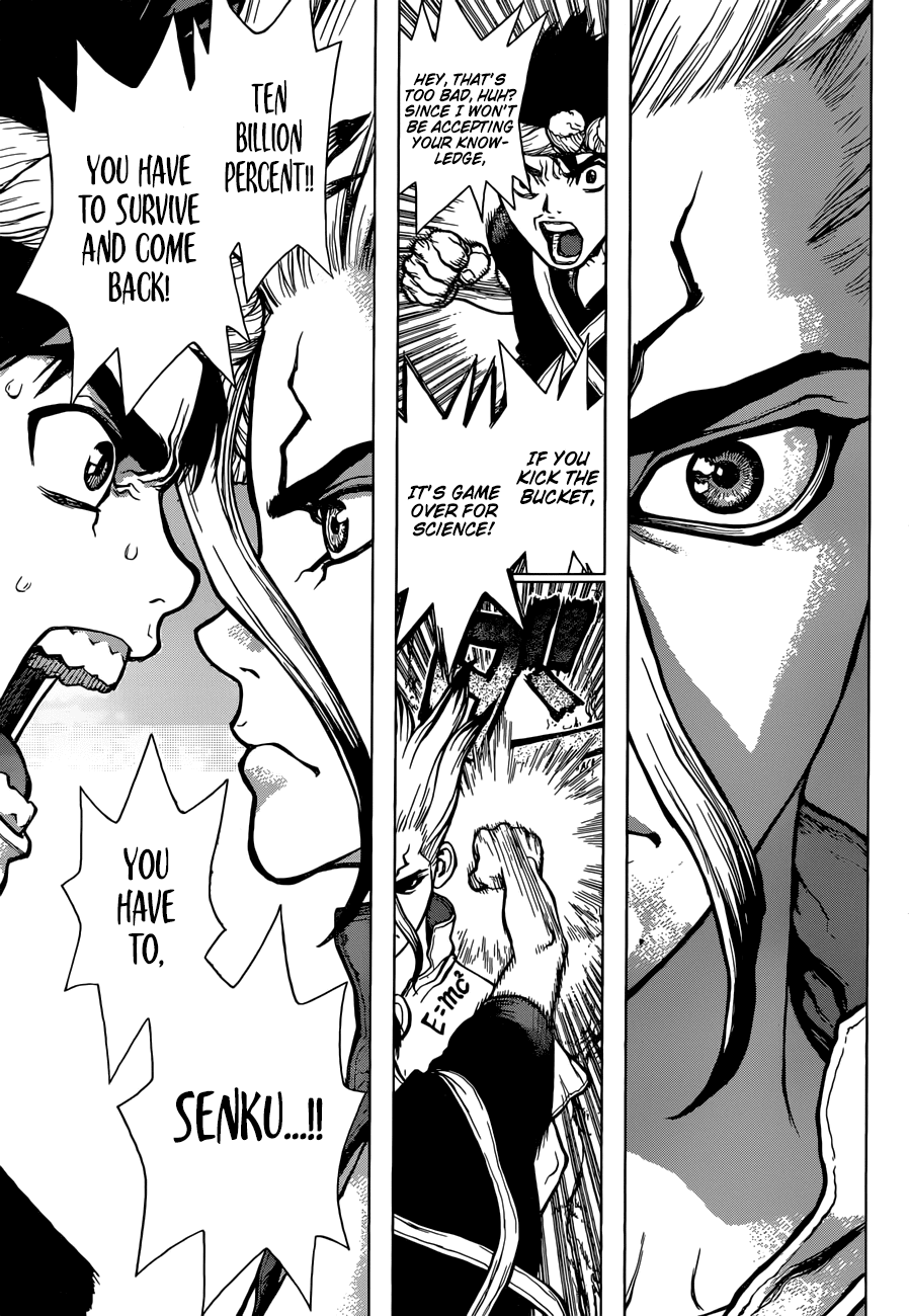 Dr.Stone, Chapter 31  Comrades who stand back to back image 06