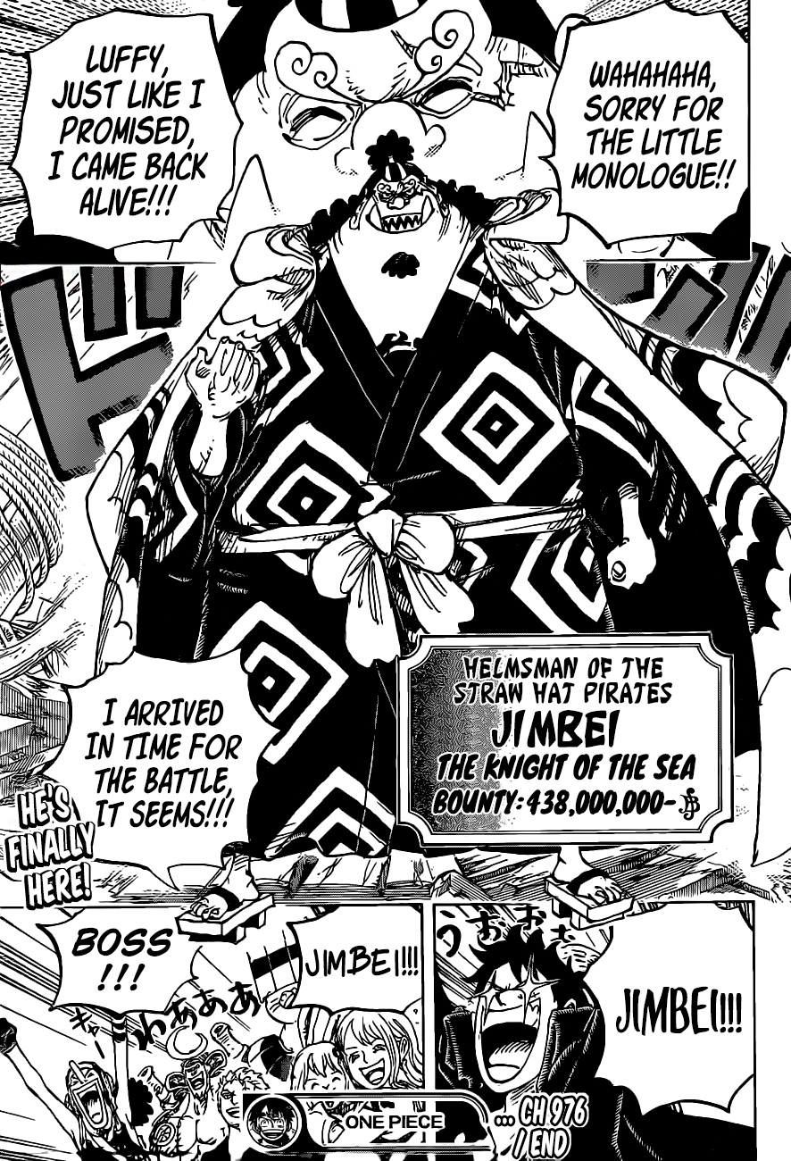 One Piece, chapter 976 image 18