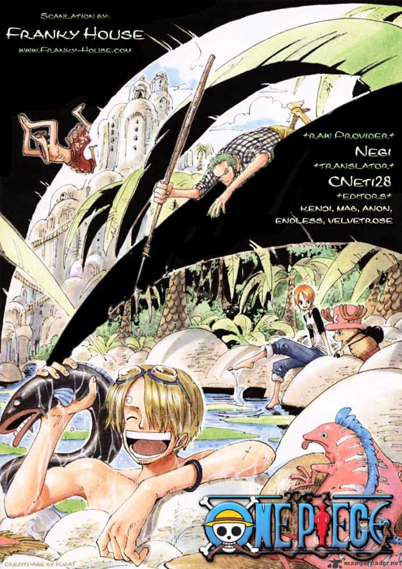 One Piece, chapter 492 image 01