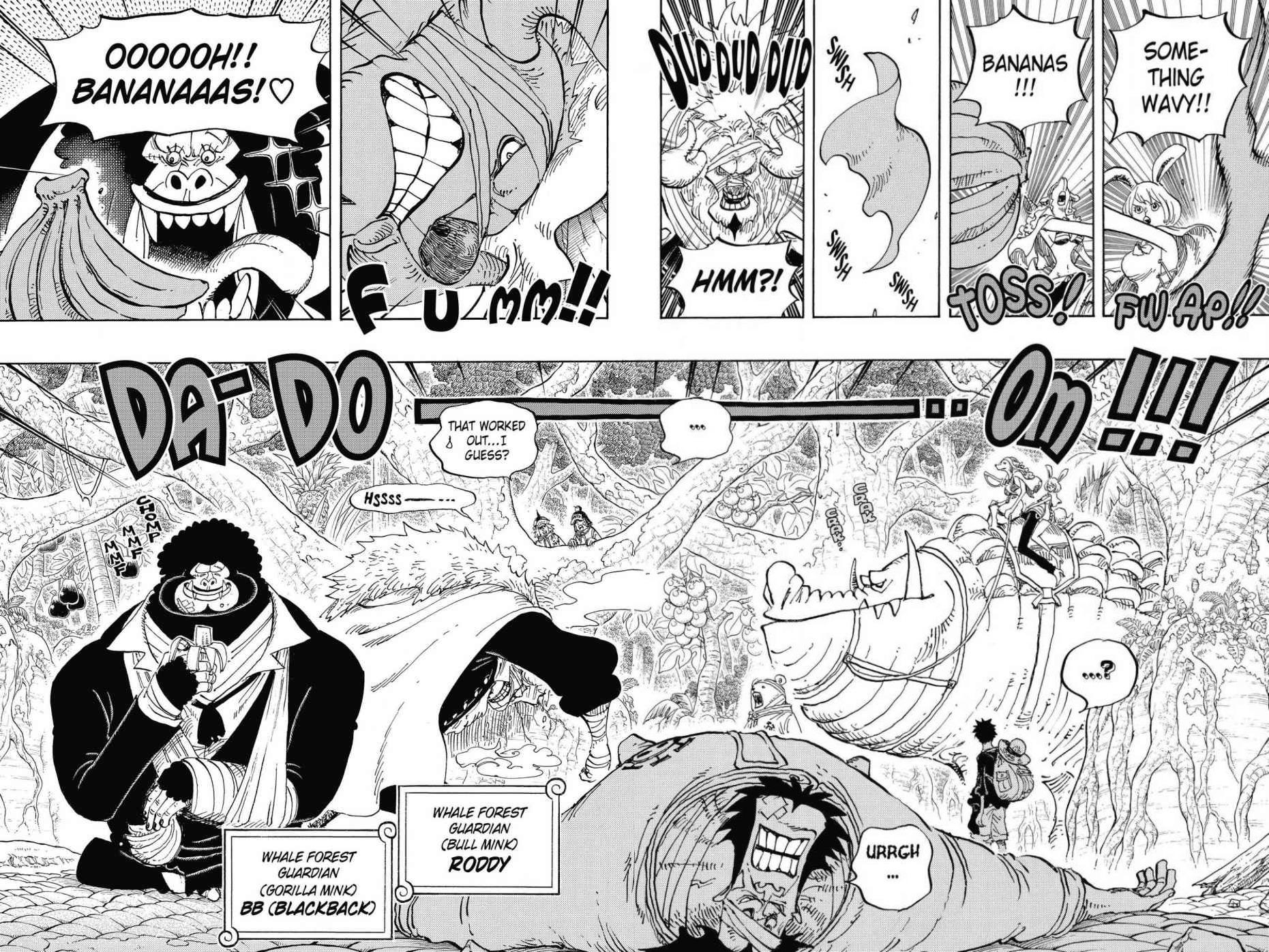 One Piece, Chapter 805 image 10