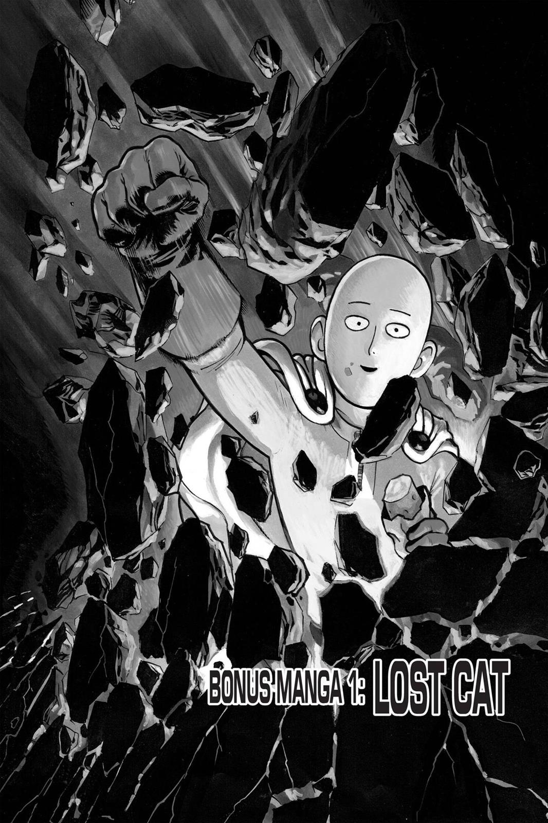 One Punch Man, Chapter 40.5 image 01