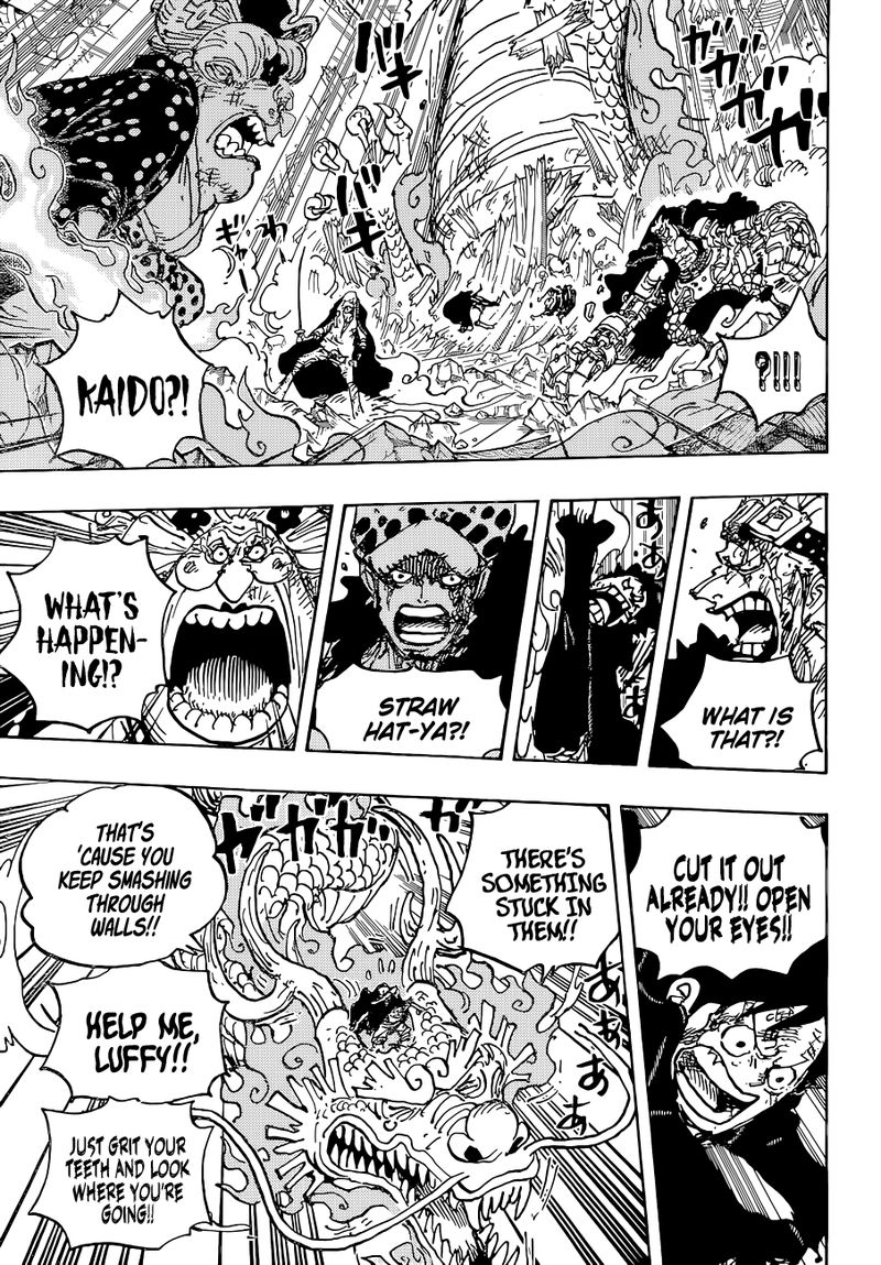 One Piece, chapter 1025 image 11