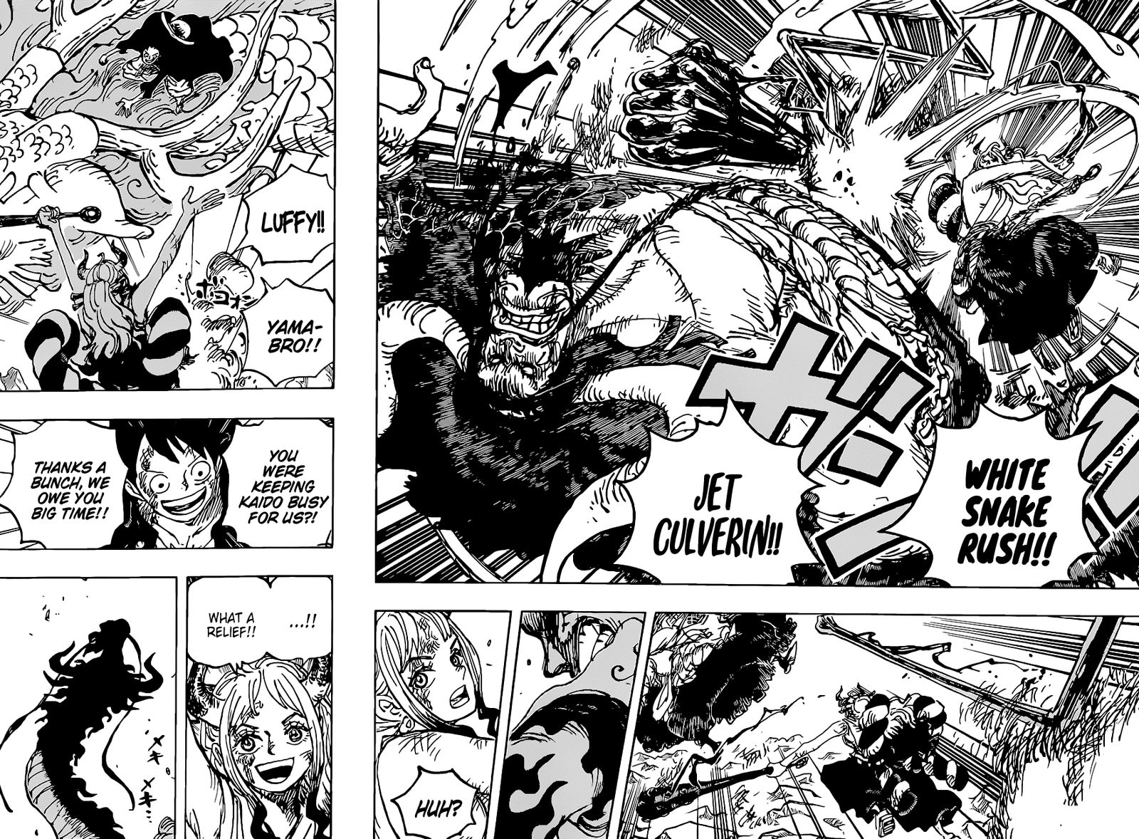 One Piece, chapter 1025 image 14