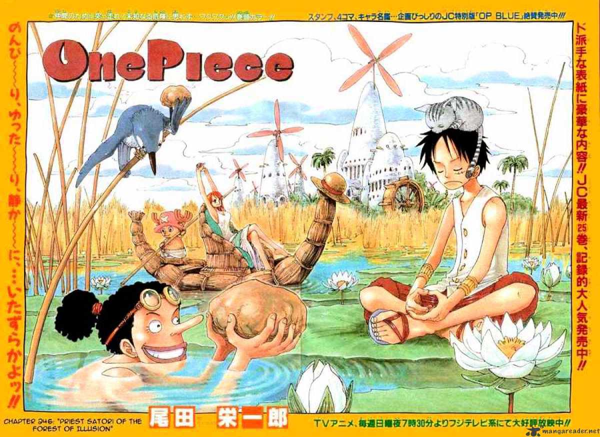 One Piece, chapter 246 image 01