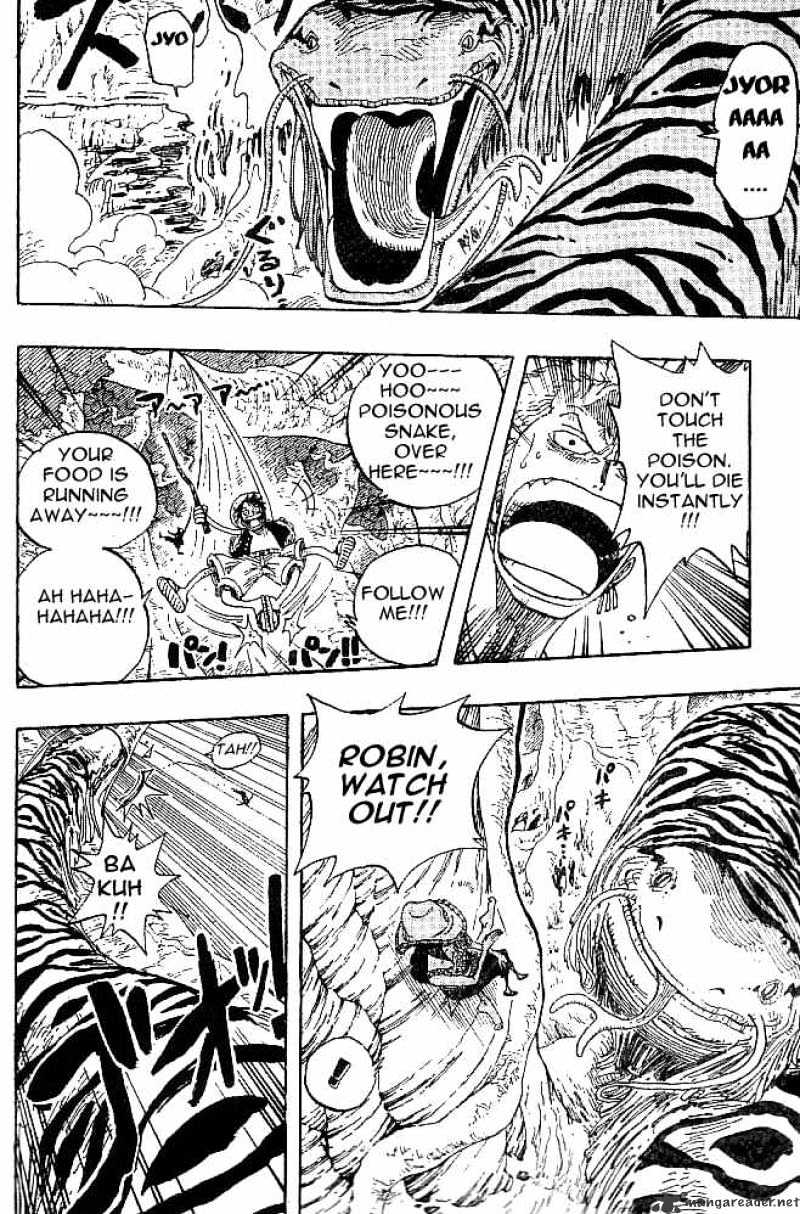 One Piece, chapter 255 image 16