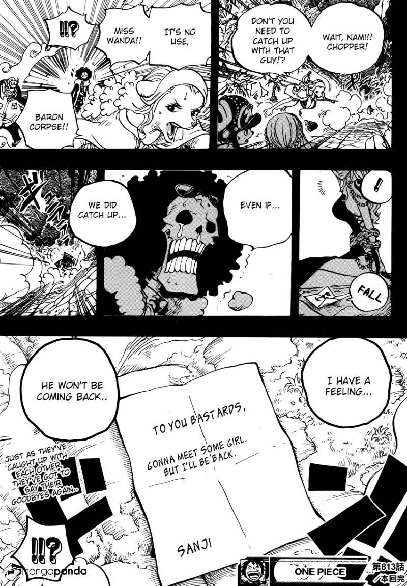 One Piece, chapter 813 image 17