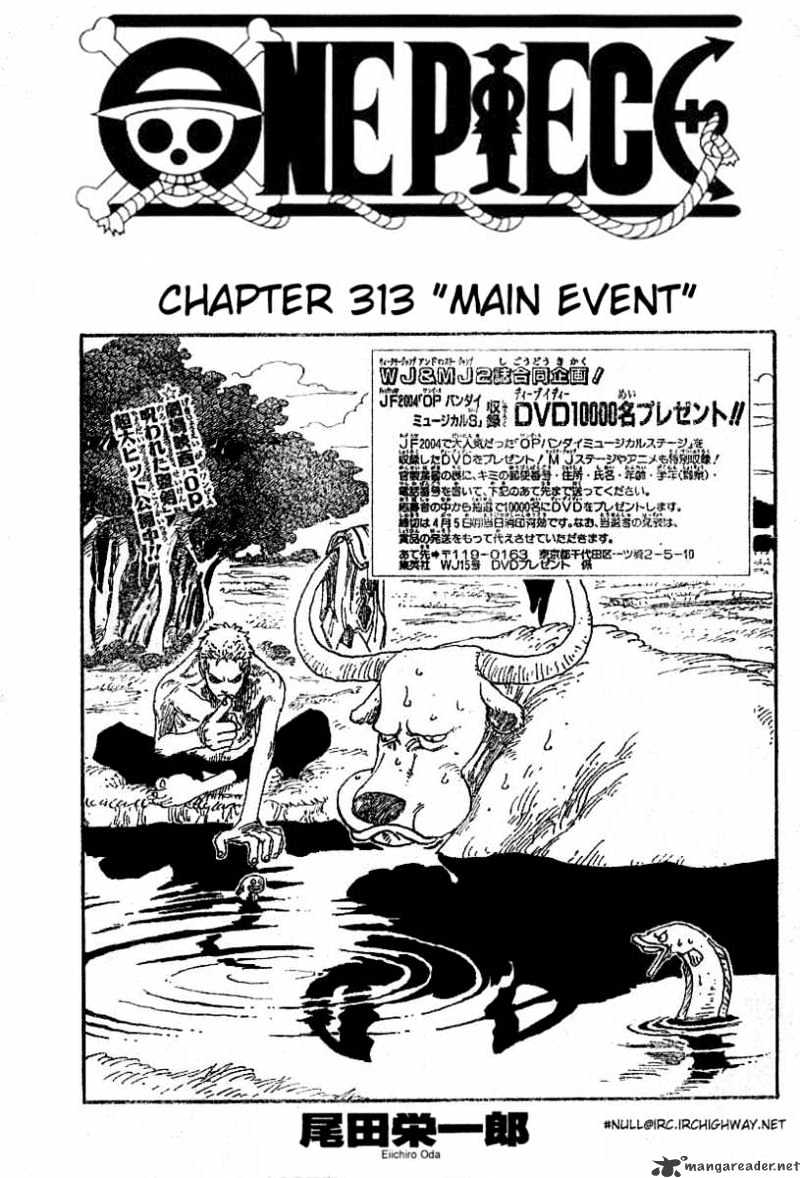 One Piece, chapter 313 image 01