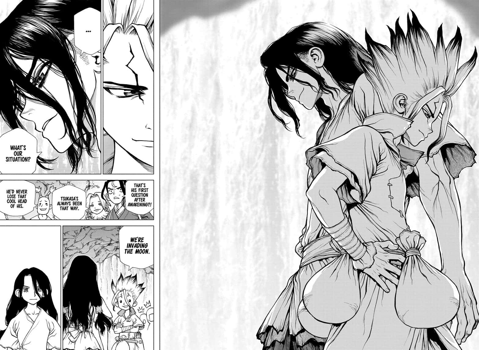 Dr.Stone, Chapter 141 Z= 141 image 11
