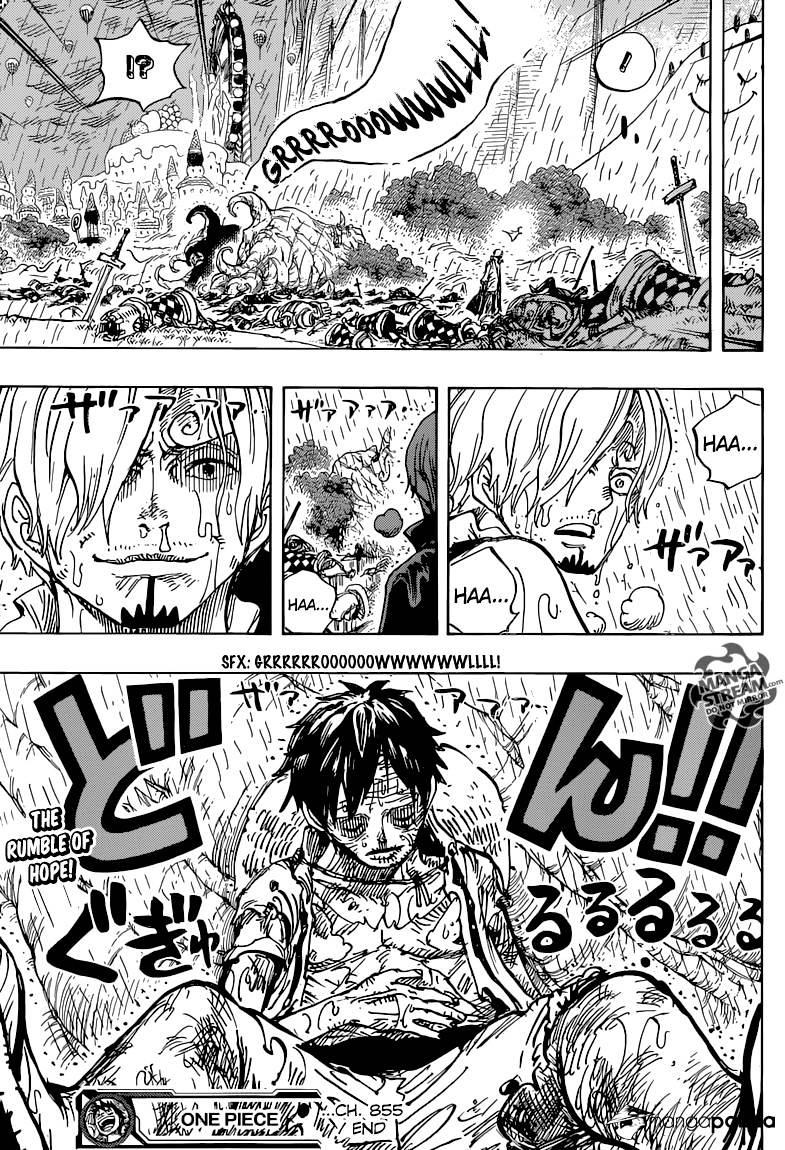 One Piece, chapter 855 image 16