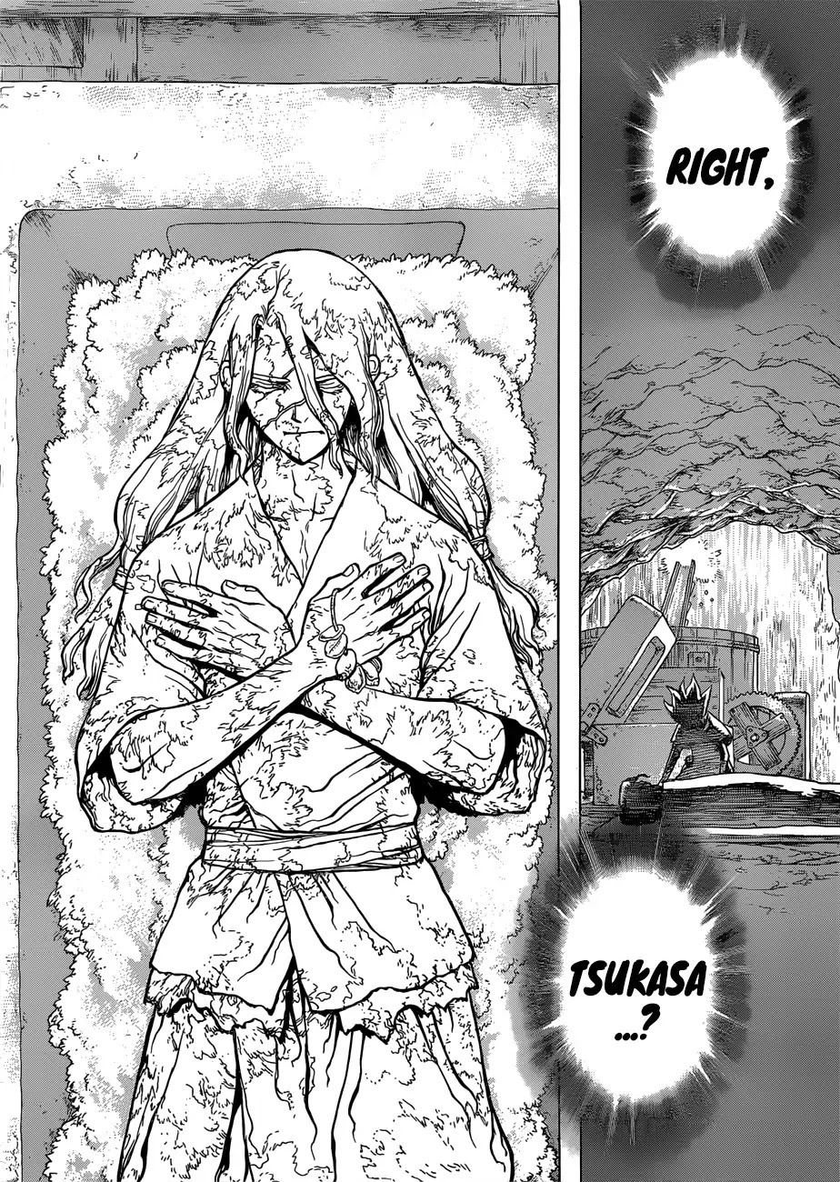 Dr.Stone, Chapter 83 Dr. Stone image 20