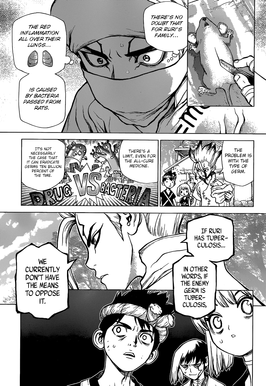 Dr.Stone, Chapter 41  Doctor Stone image 06