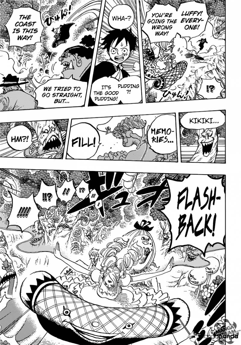 One Piece, chapter 876 image 14