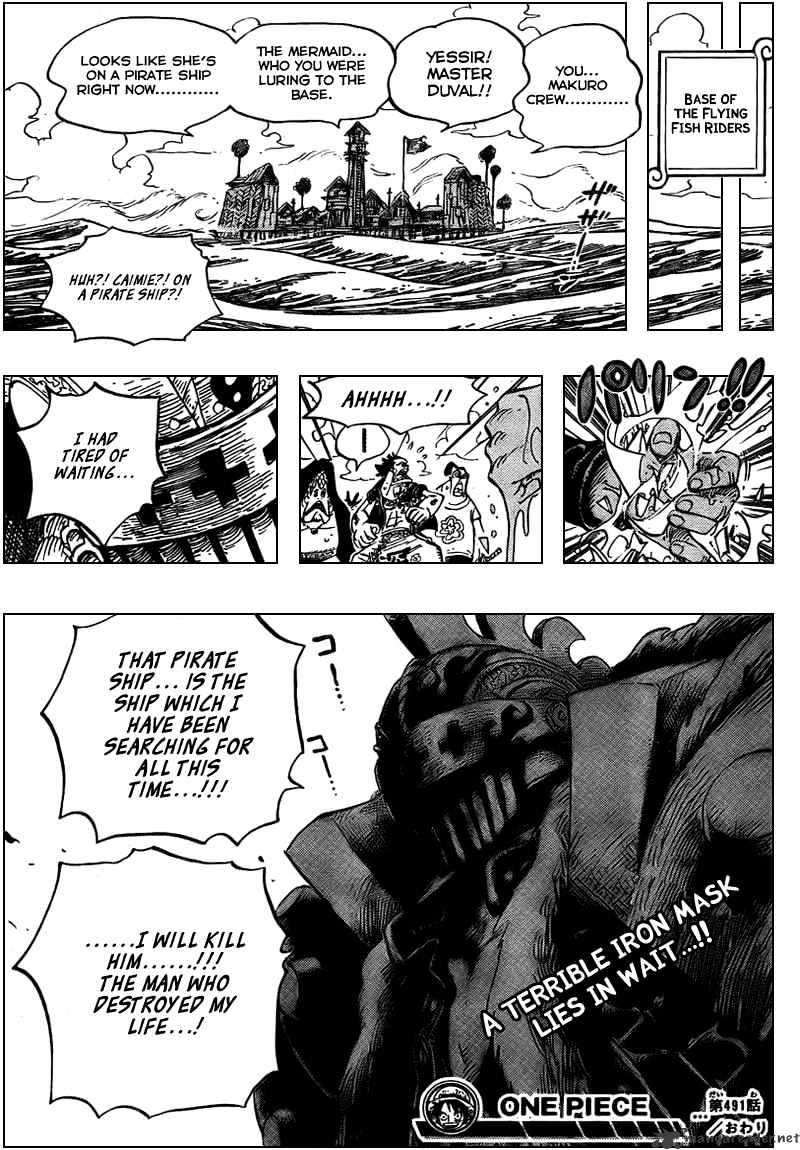 One Piece, chapter 491 image 19