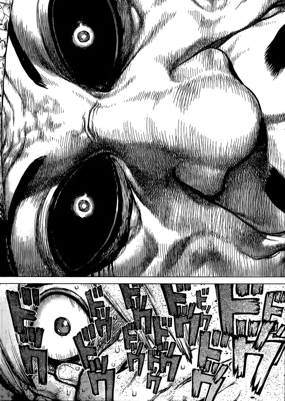 Dr.Stone, Chapter 108 The Second Trump Card image 16