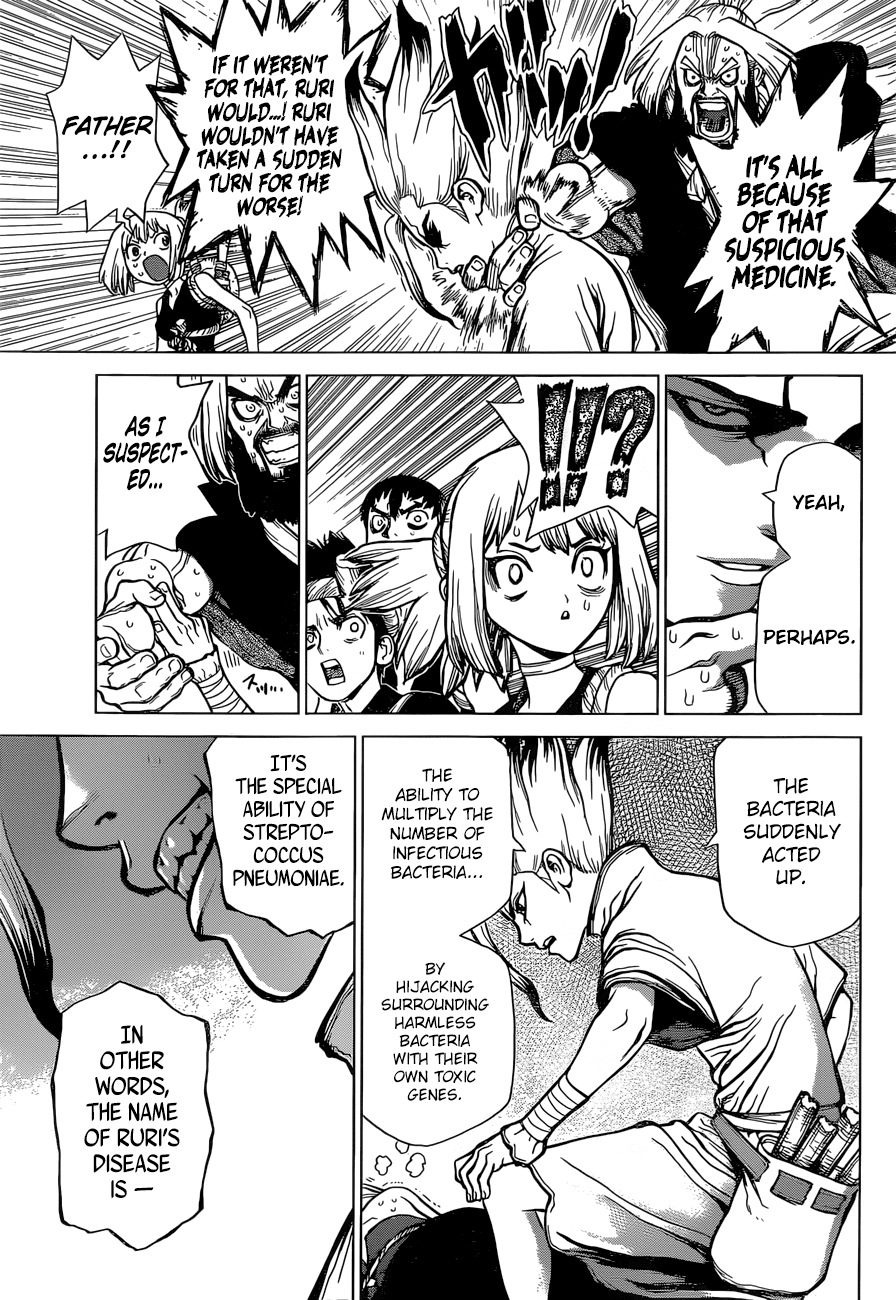 Dr.Stone, Chapter 41  Doctor Stone image 10