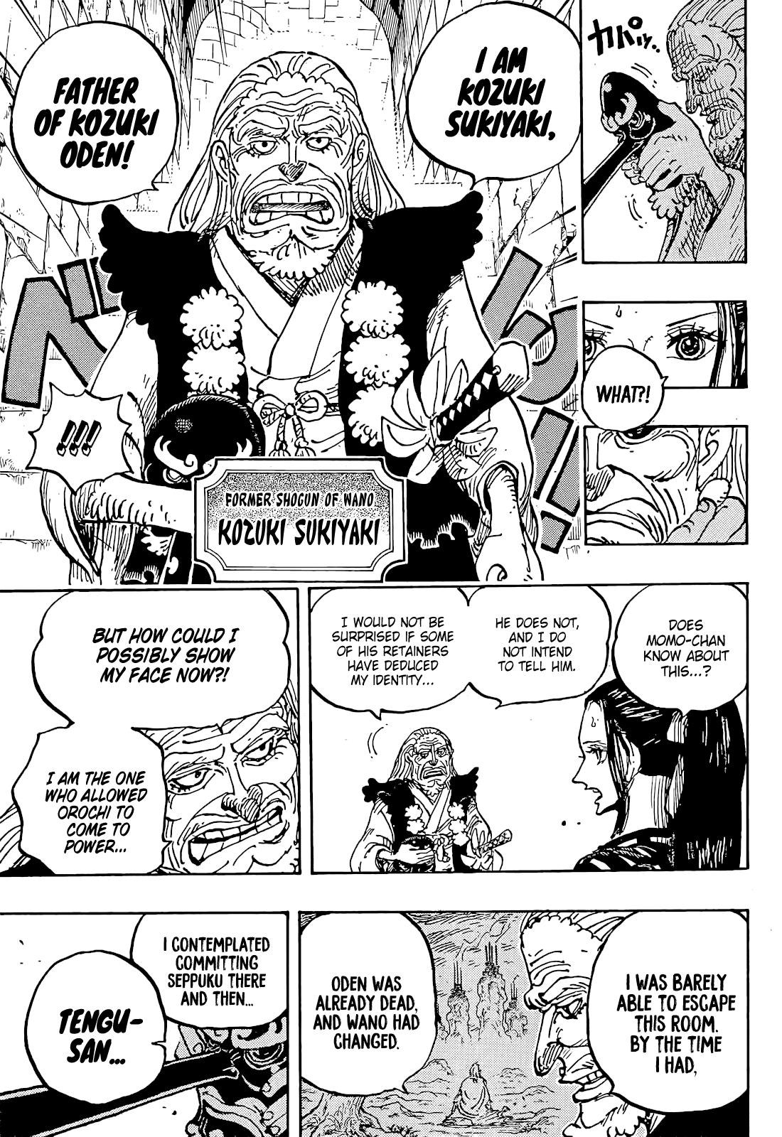 One Piece, chapter 1053 image 09