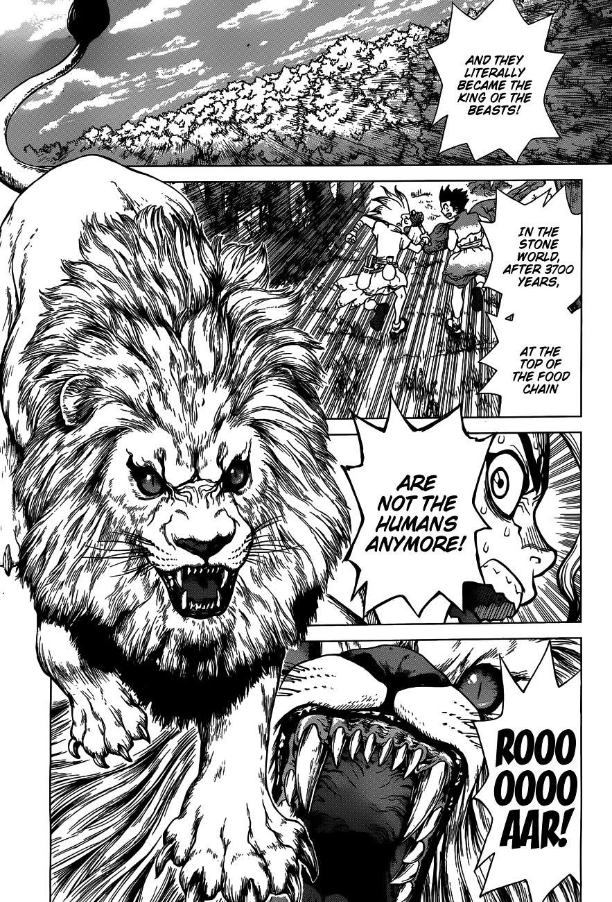 Dr.Stone, Chapter 3  King of the Stone World image 08