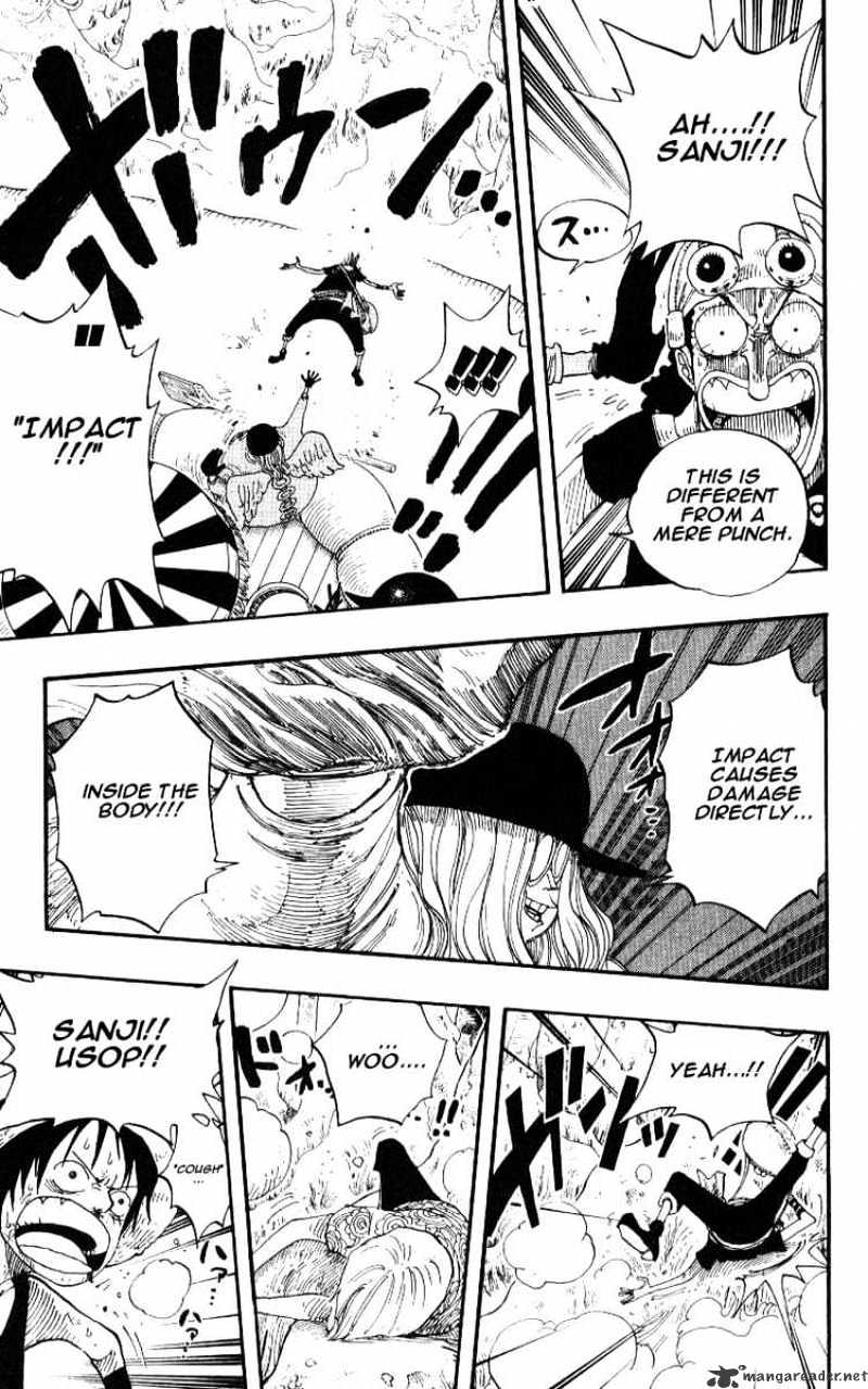 One Piece, chapter 246 image 17