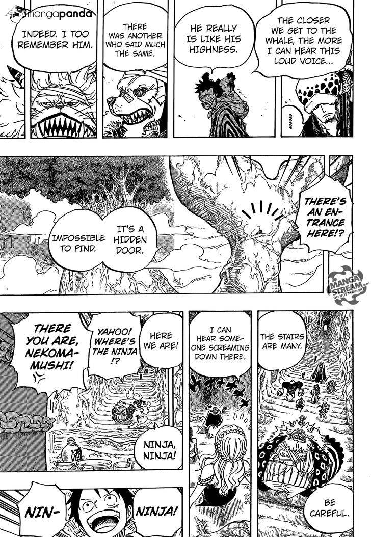 One Piece, chapter 817 image 13