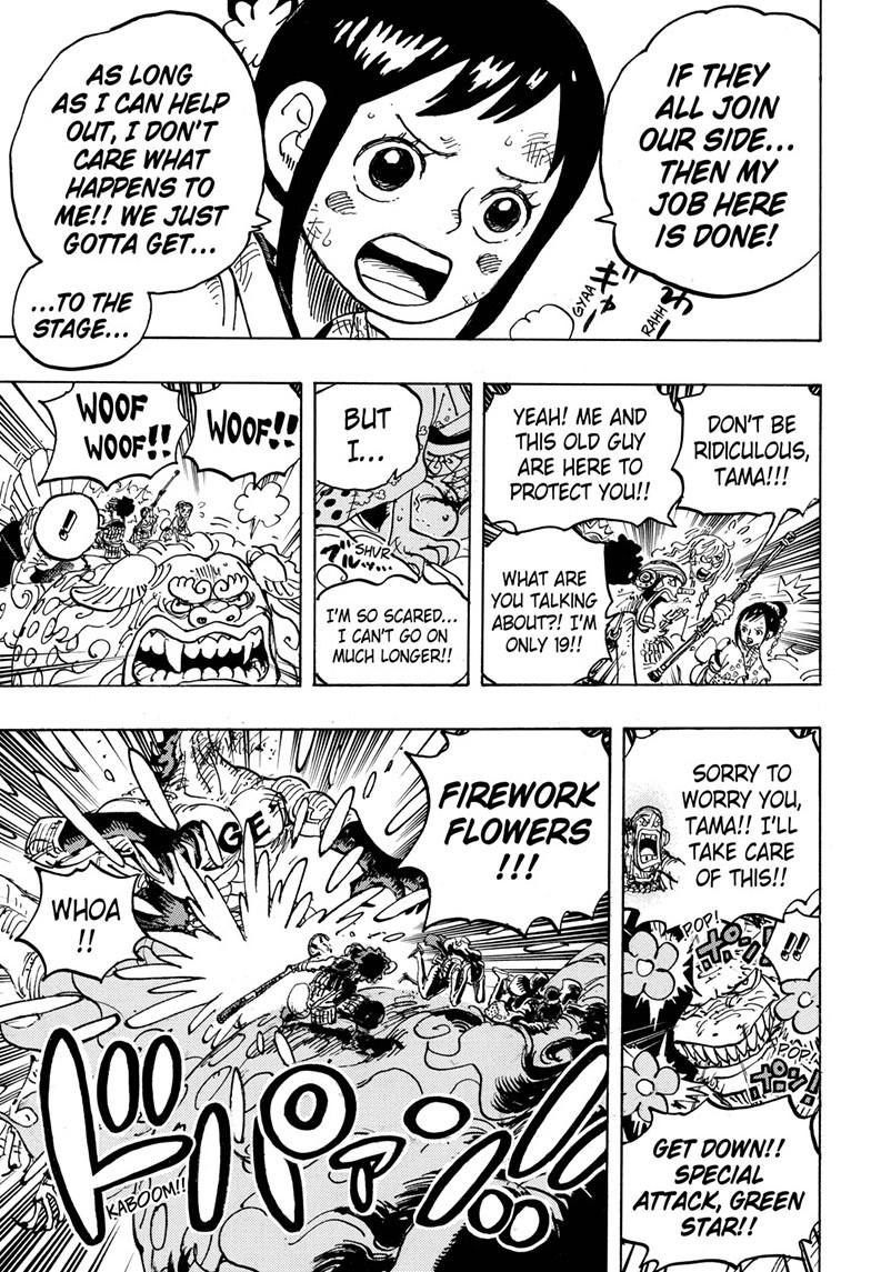 One Piece, chapter 1011 image 13