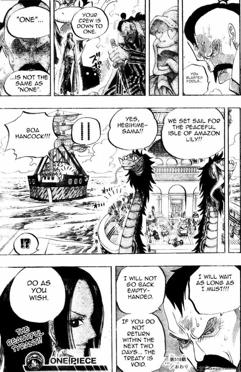 One Piece, chapter 516 image 17