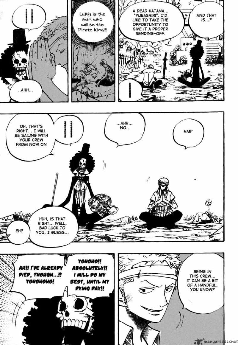 One Piece, chapter 489 image 12