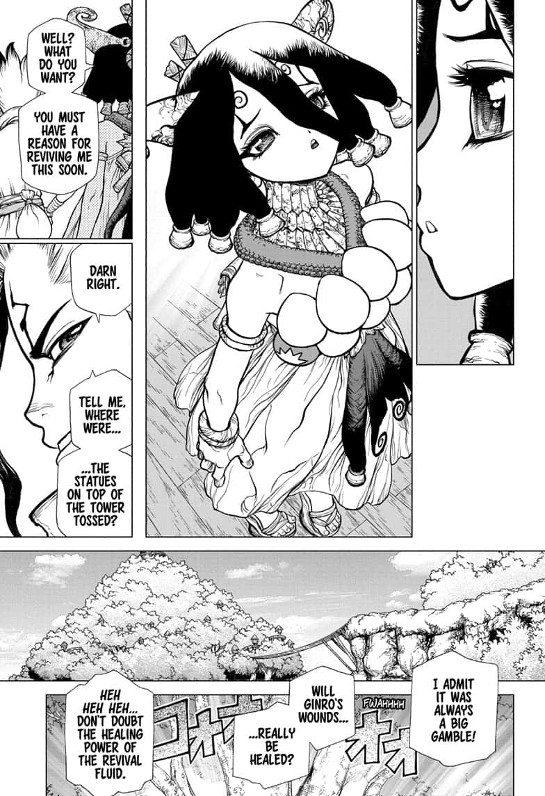 Dr.Stone, Chapter 138 Z= 138 image 09