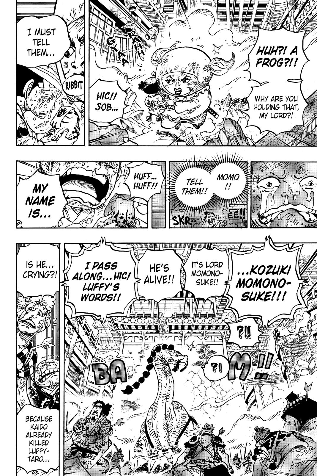 One Piece, Chapter 1015 image 11