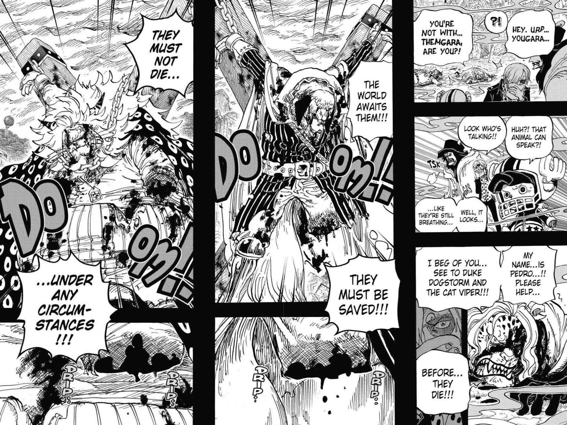 One Piece, Chapter 810 image 16