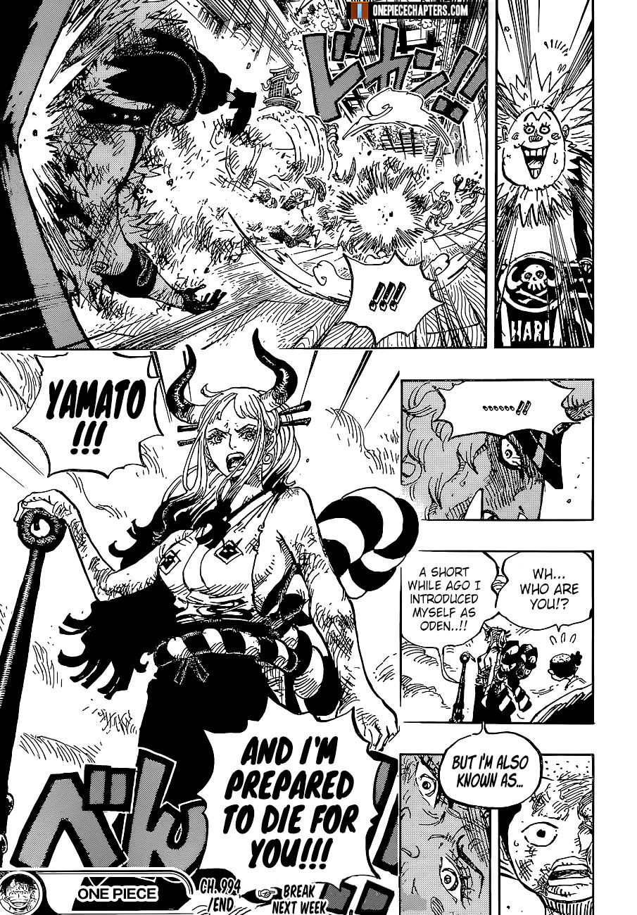 One Piece, chapter 994 image 16