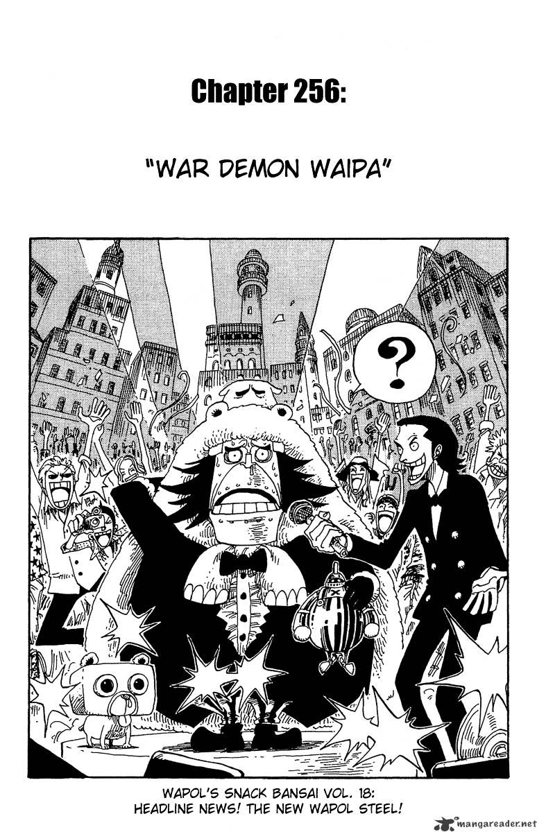 One Piece, chapter 256 image 11