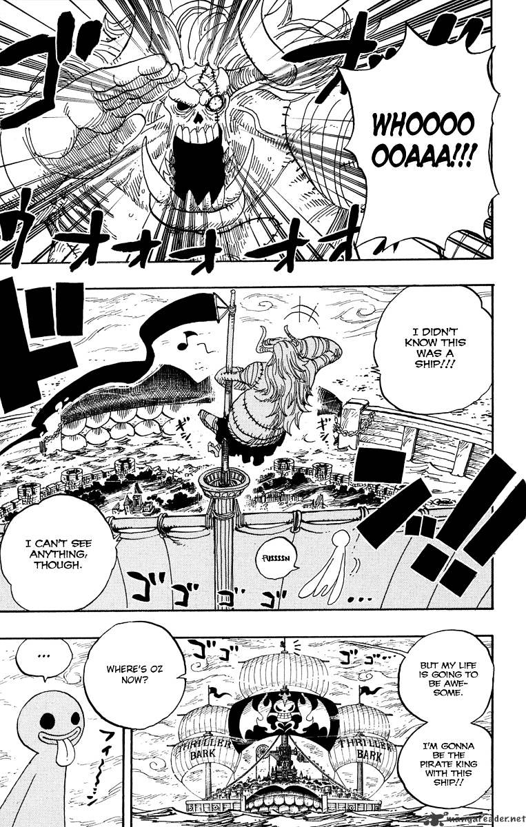 One Piece, chapter 460 image 17