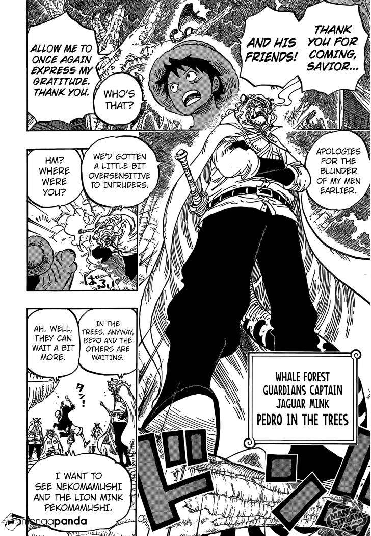 One Piece, chapter 814 image 13