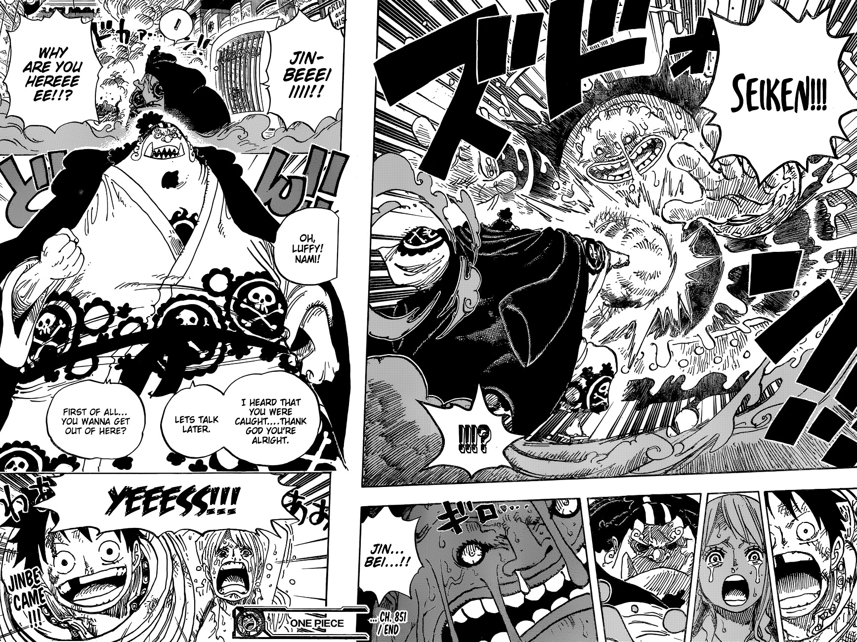 One Piece, chapter 851 v2 image 17