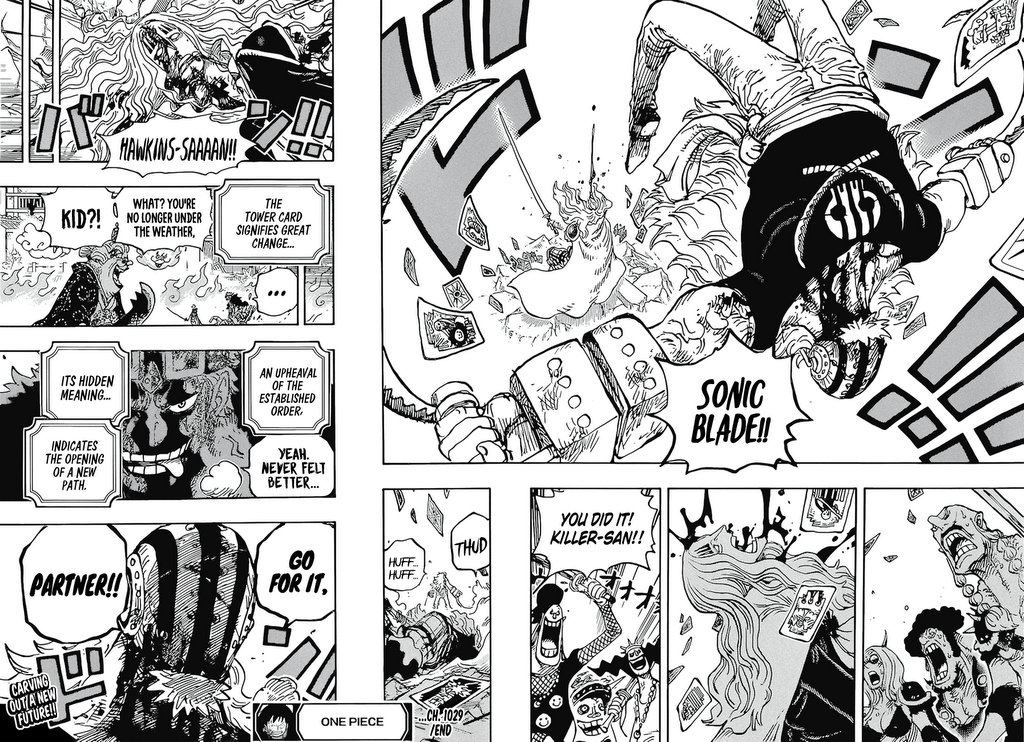 One Piece, chapter 1029 image 15
