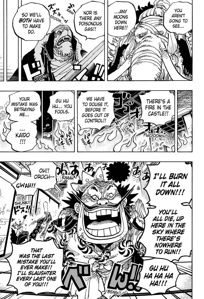 One Piece, chapter 1008 image 13