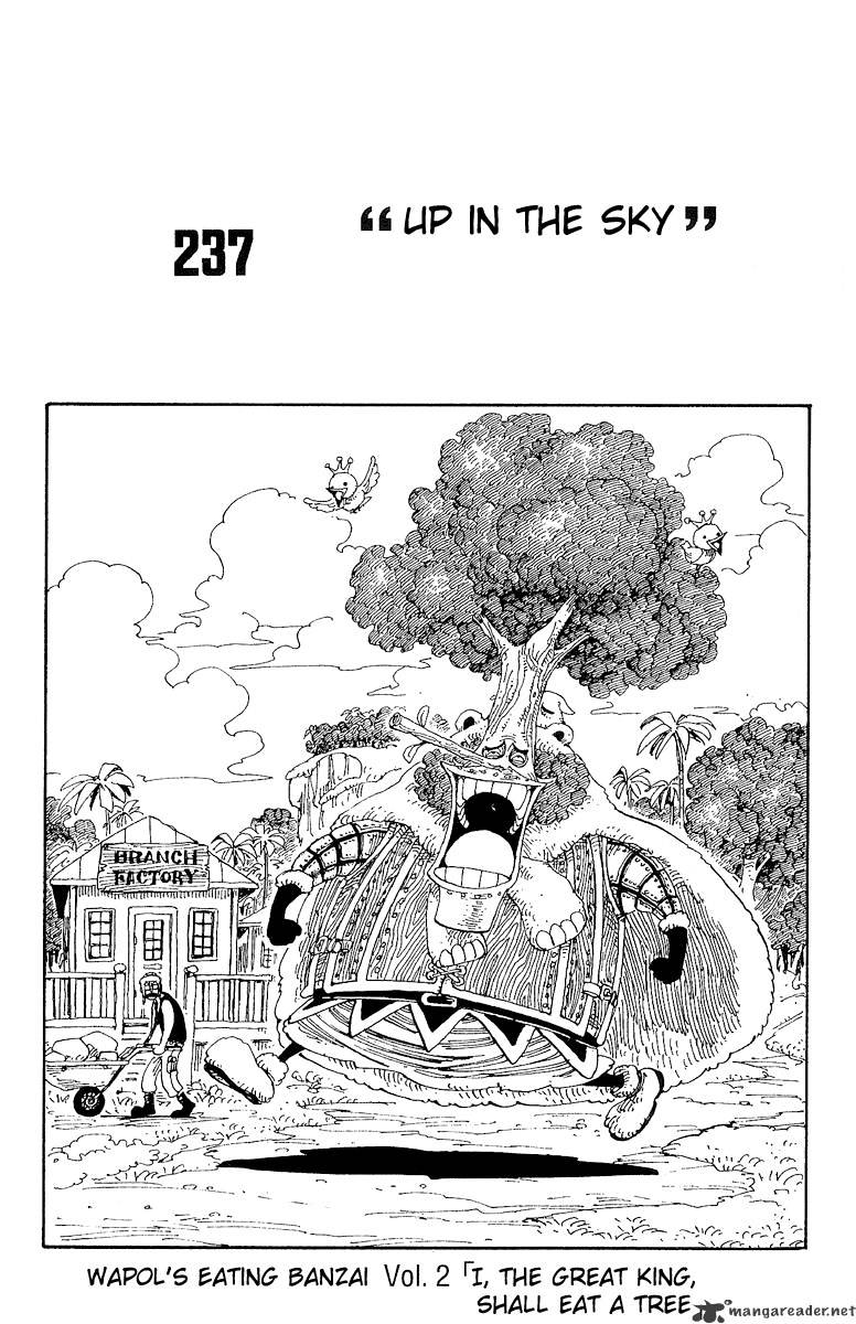One Piece, chapter 237 image 12
