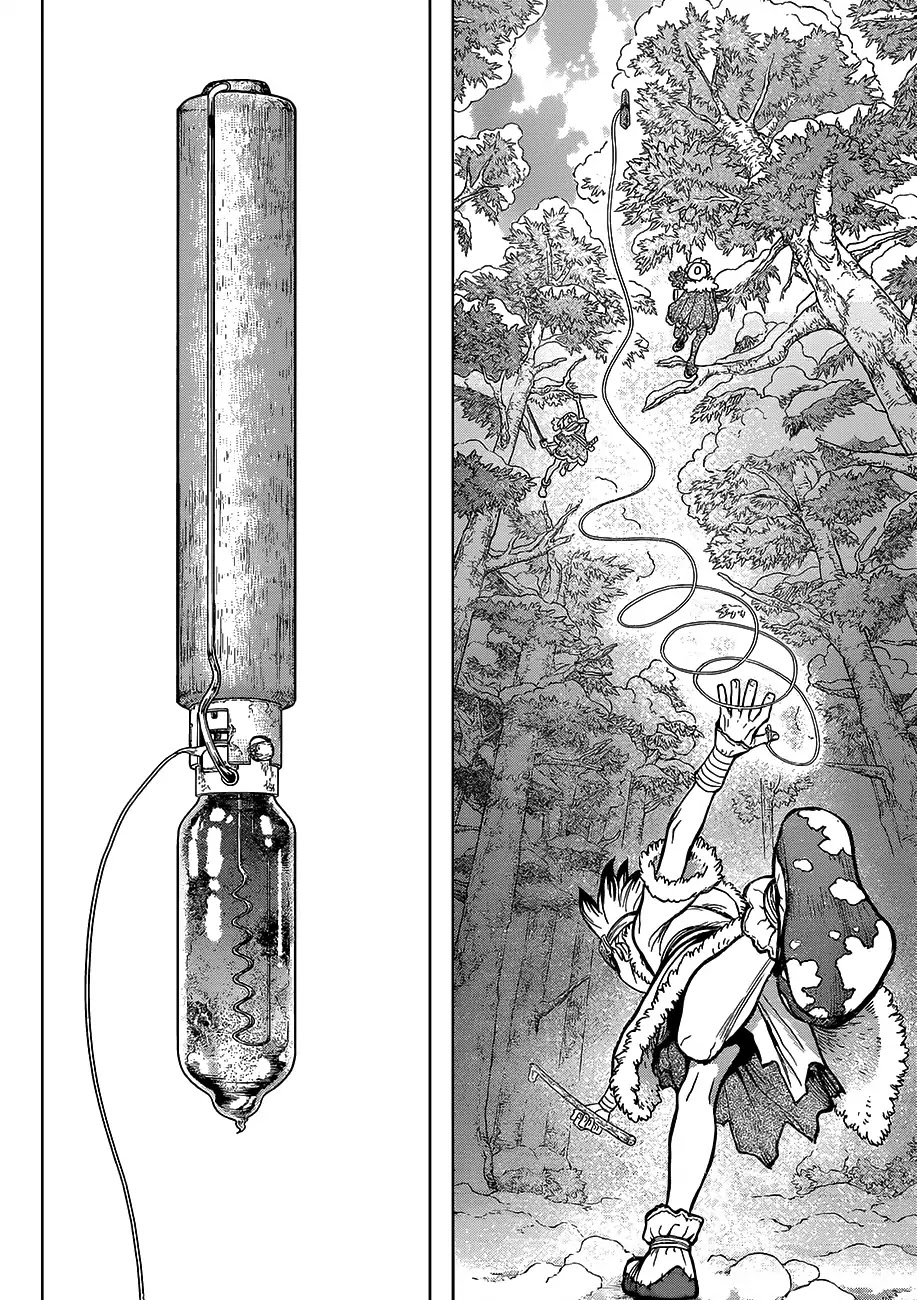 Dr.Stone, Chapter 62 Double Chase image 10