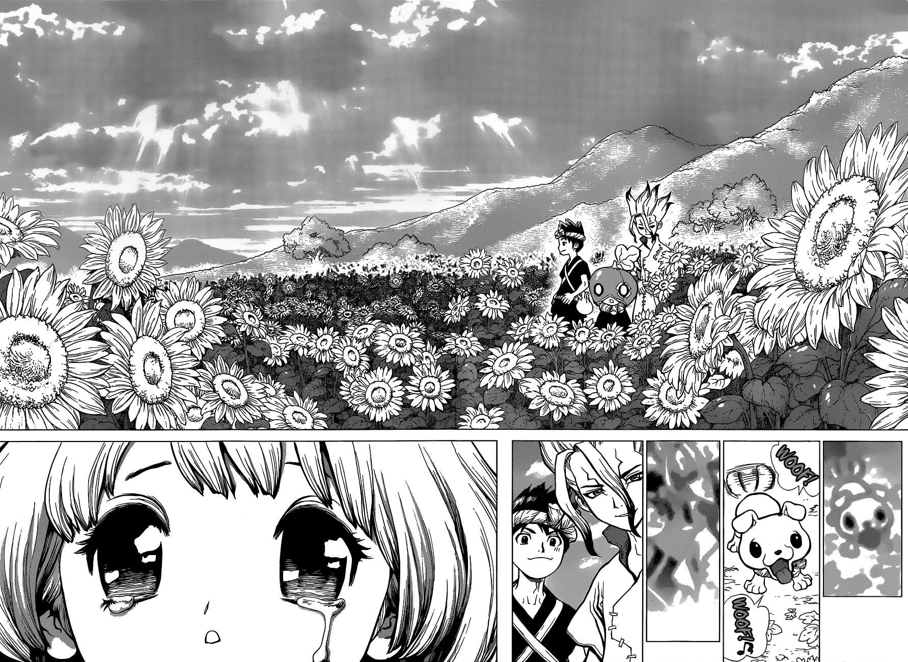 Dr.Stone, Chapter 28  Clear World image 15