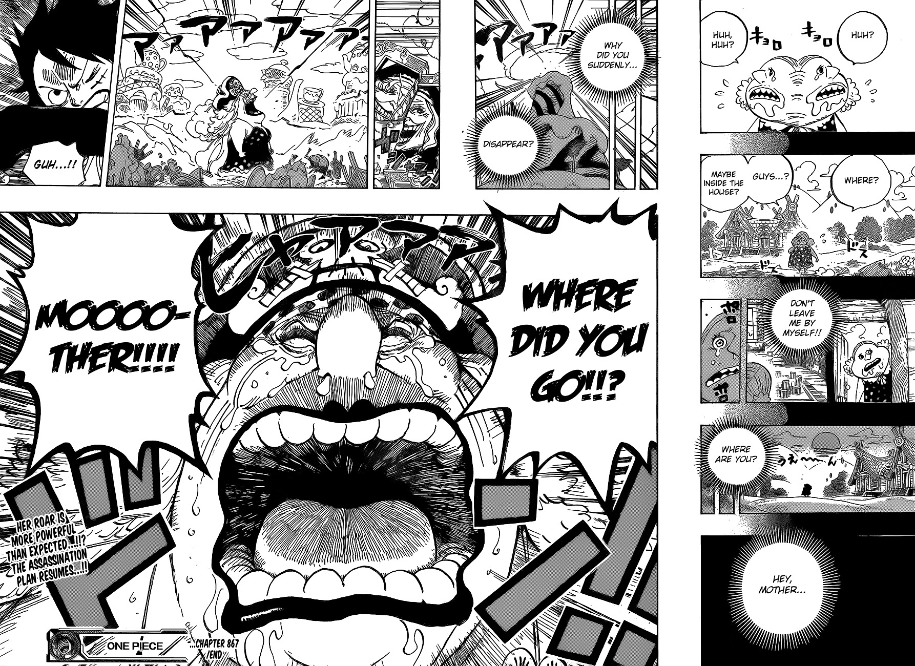 One Piece, chapter 867 v2 image 15