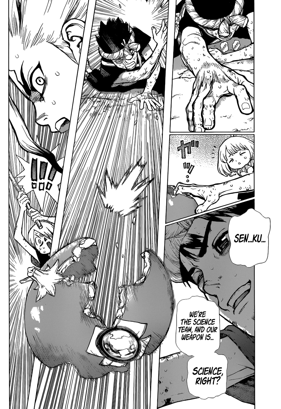 Dr.Stone, Chapter 39  and the winner is image 12