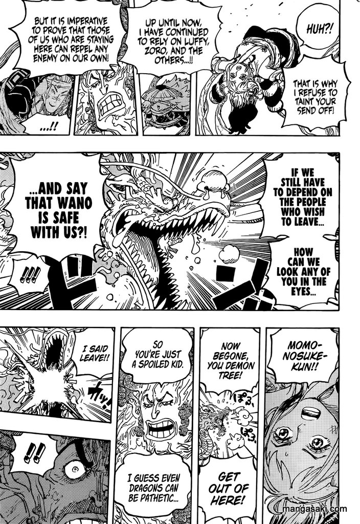 One Piece, chapter 1055 image 14