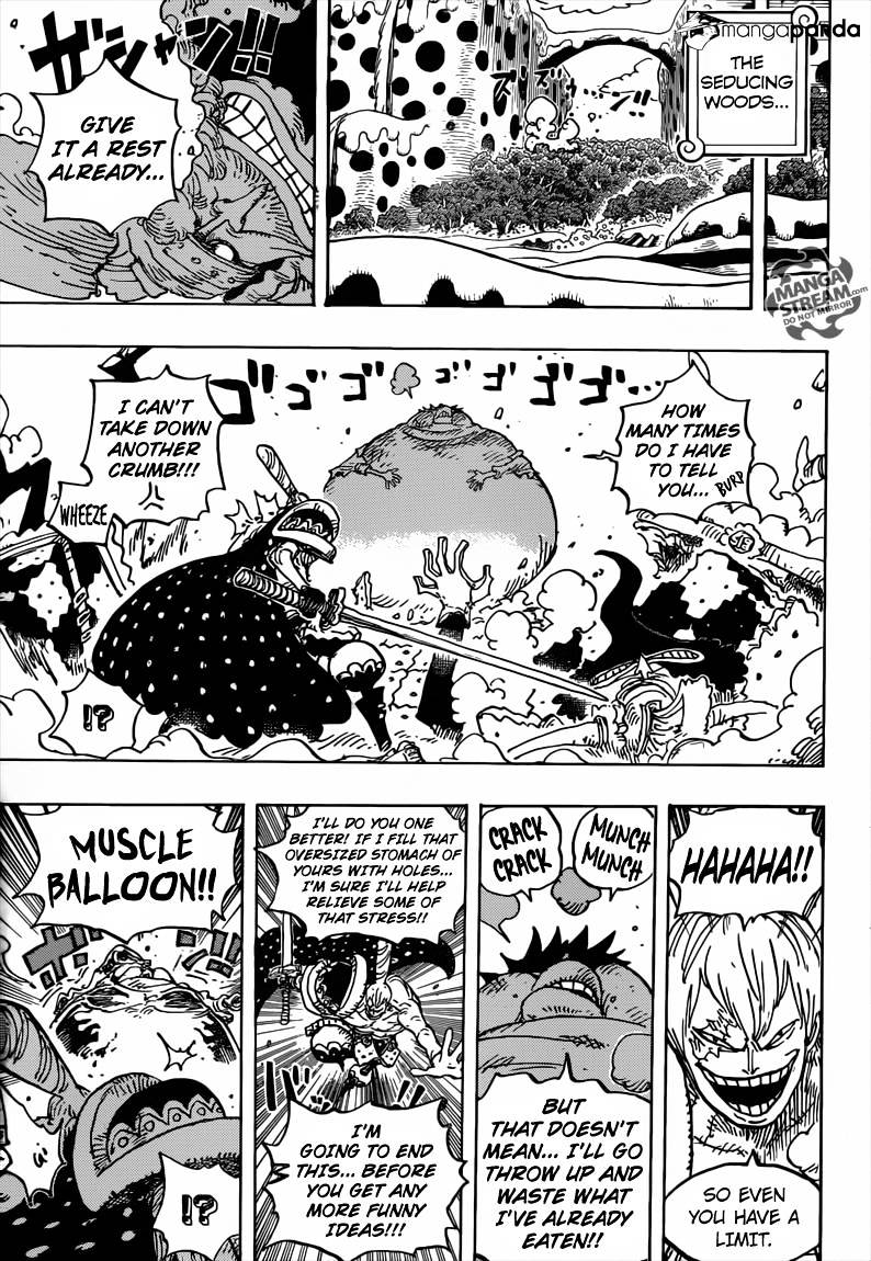 One Piece, chapter 842 image 12