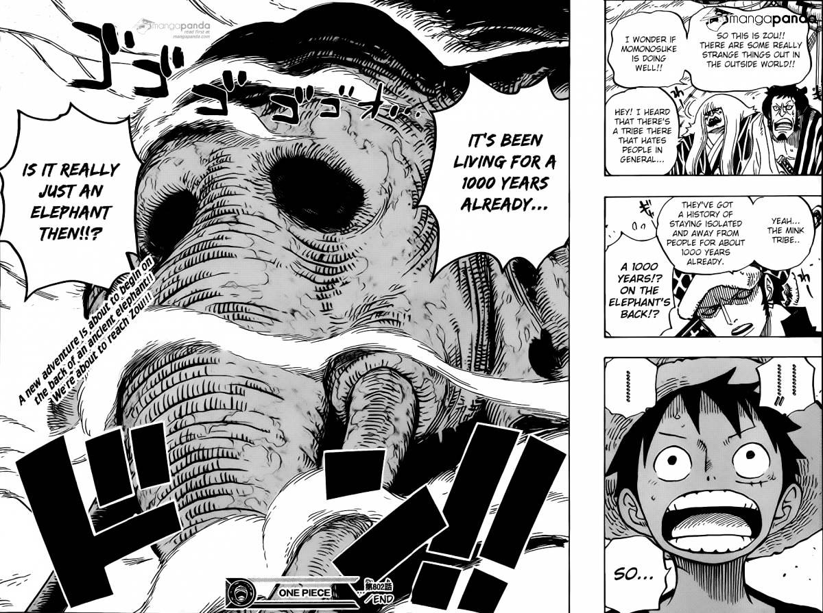 One Piece, chapter 802 image 15