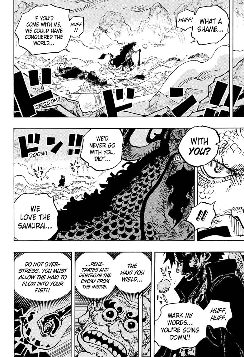 One Piece, chapter 1010 image 11