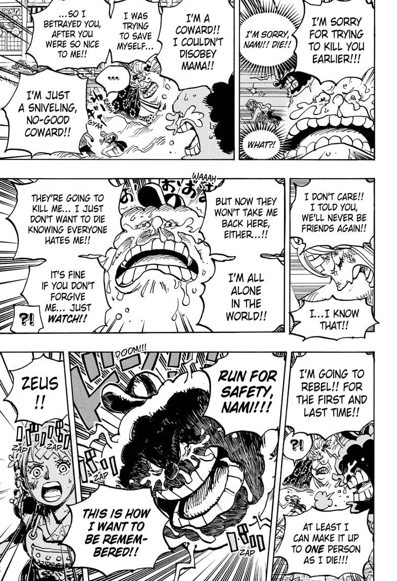 One Piece, chapter 1013 image 10