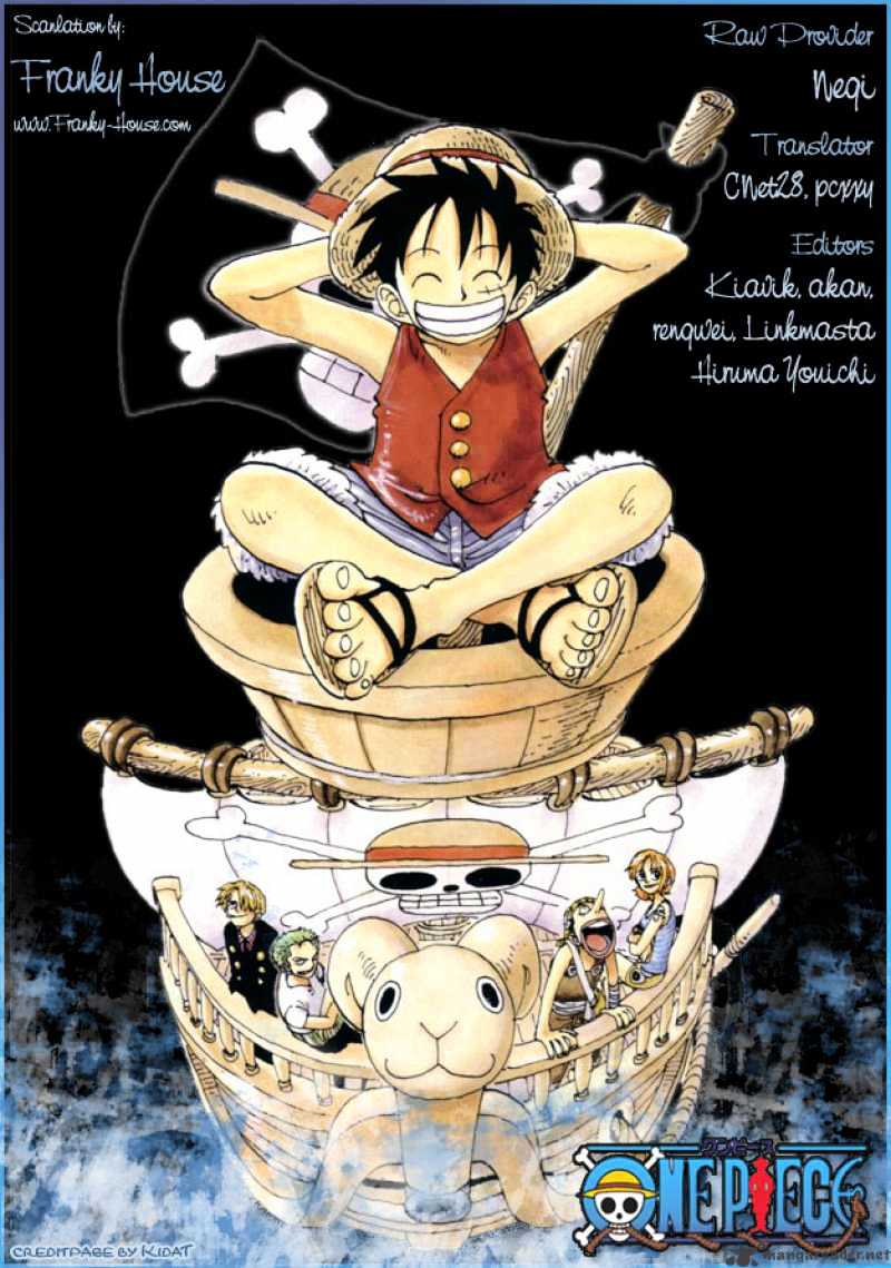 One Piece, chapter 493 image 20