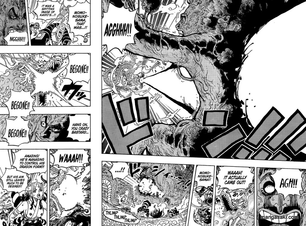 One Piece, chapter 1055 image 15