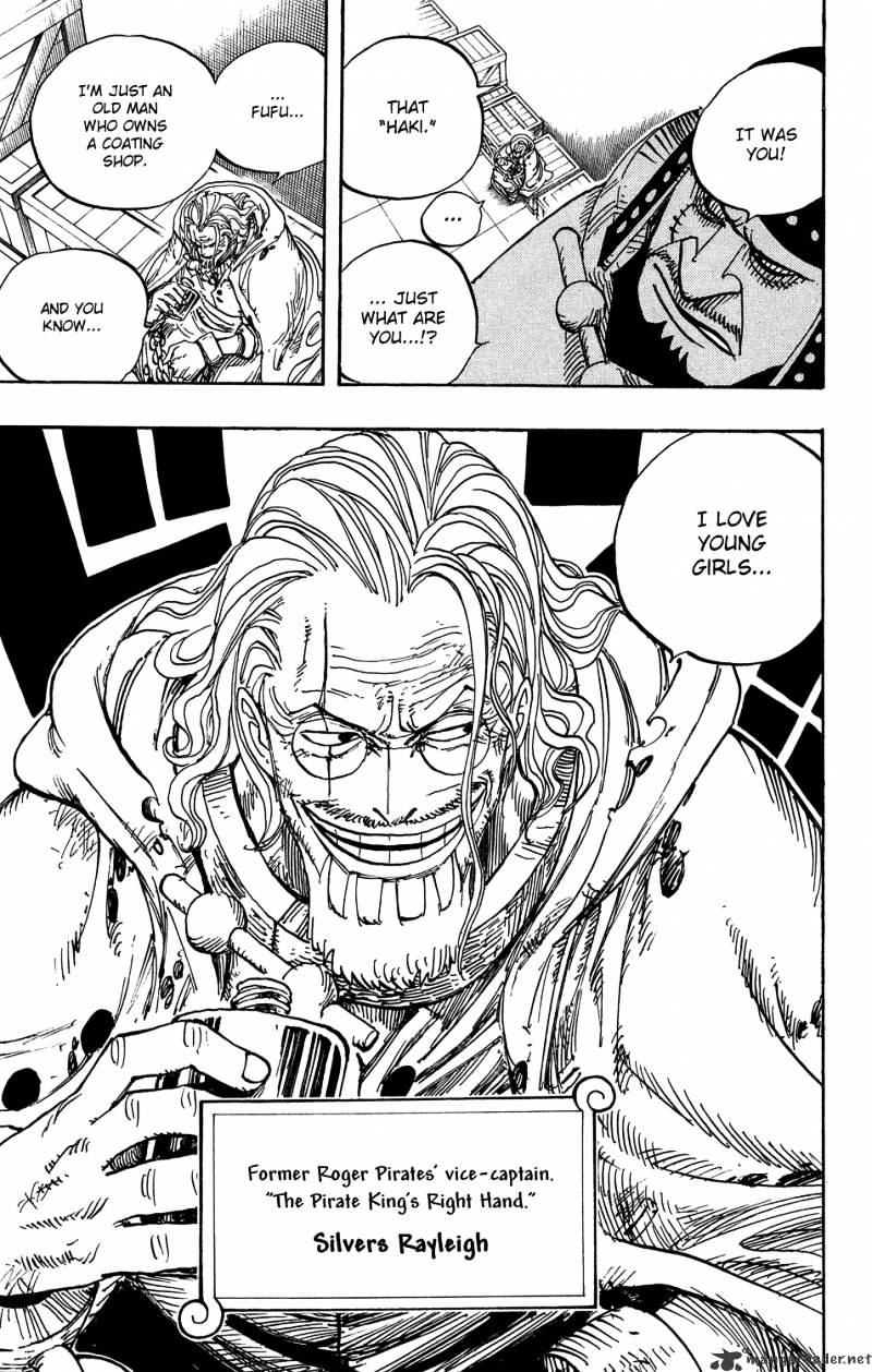 One Piece, chapter 500 image 19