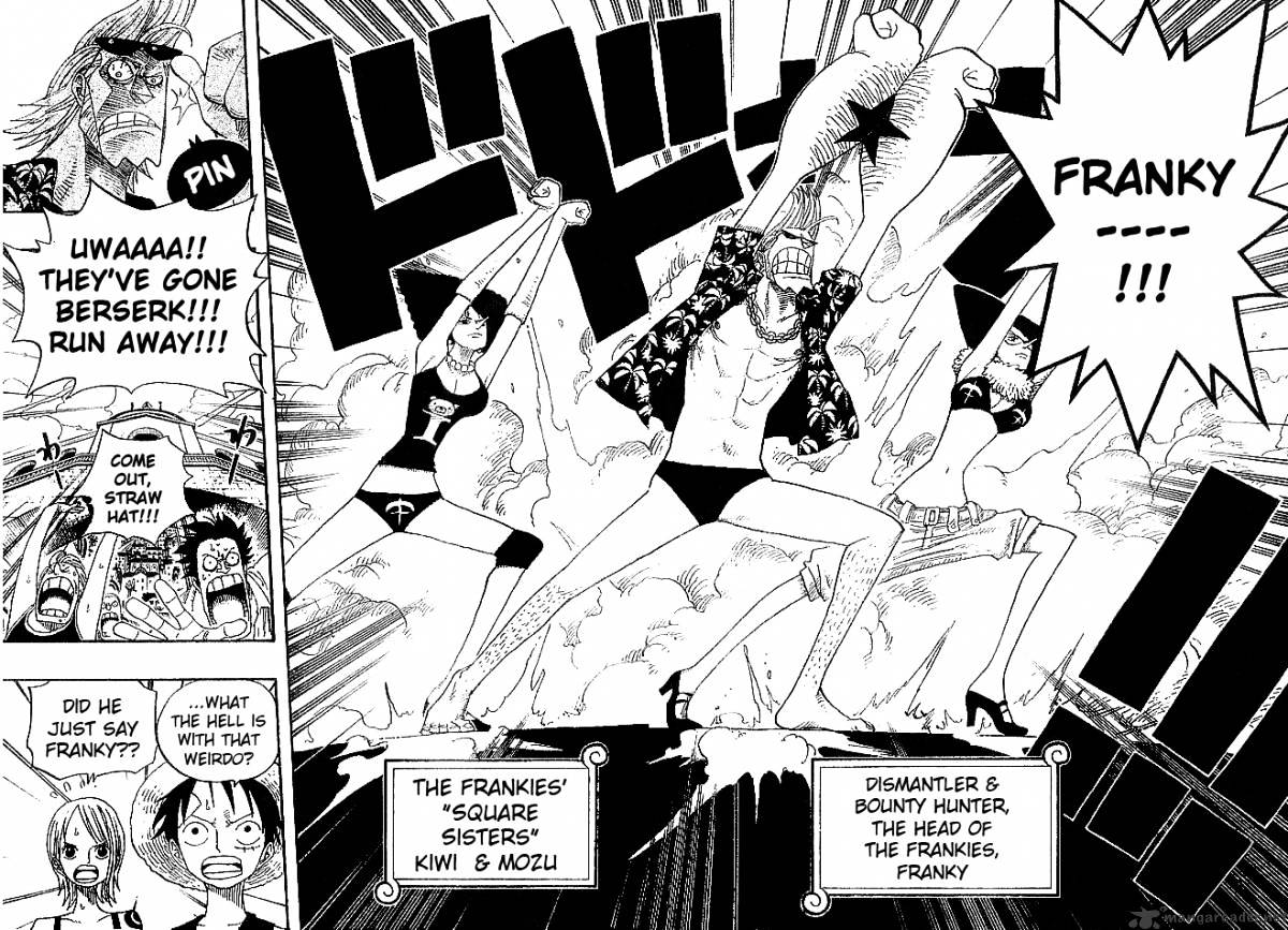 One Piece, chapter 335 image 14
